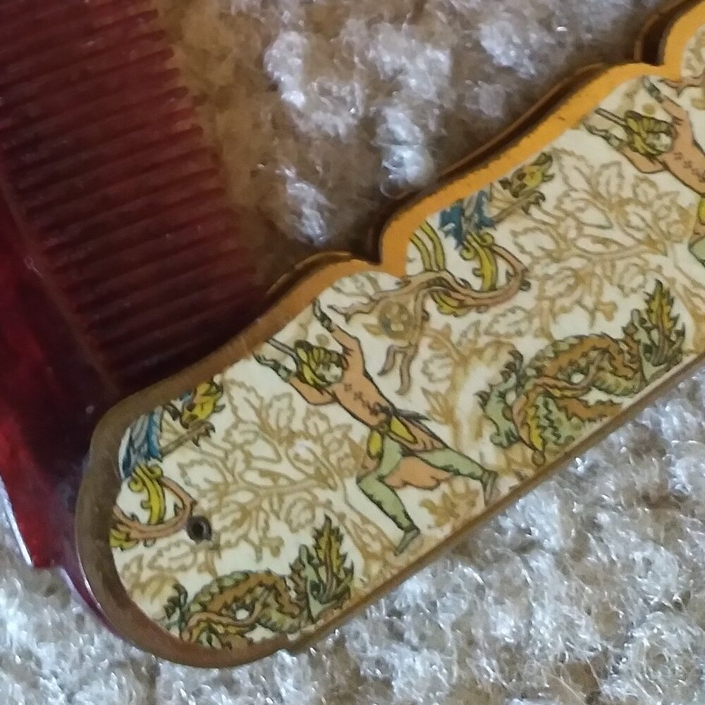 Vintage Comb in Case